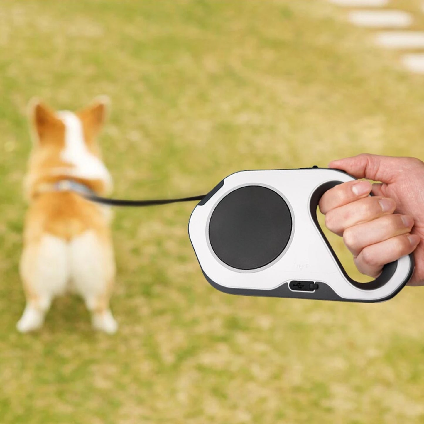 Holly Pet Holipet anti dog sprain LED lighting automatic lead charging type 5M night walking line/harness automatic line