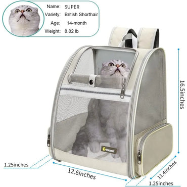Pet Backpack Carrier for Small Cats Dogs Ventilated Design Safety Straps Buckle Support Collapsible Designed for Travel Hiking